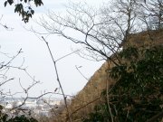 �W�]������グ��