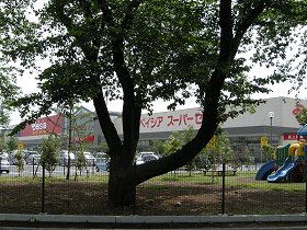 ショッピングセンター「ベイシアモール」の写真