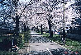 Photo HAMURA