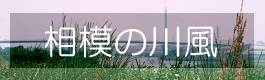 ���͂̐앗