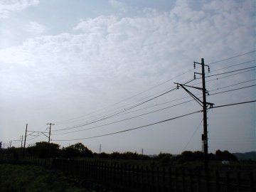 menuphoto_40.jpg